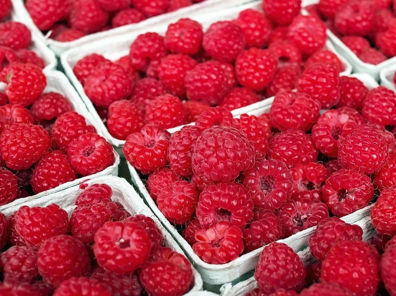 Entregas rápidas de frutas